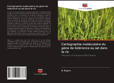 Capa do livro de Cartographie moléculaire du gène de tolérance au sel dans le riz 
