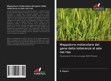 Bookcover of Mappatura molecolare del gene della tolleranza al sale nel riso