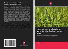 Buchcover von Mapeamento molecular do gene de tolerância ao sal em arroz