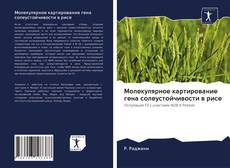 Copertina di Молекулярное картирование гена солеустойчивости в рисе