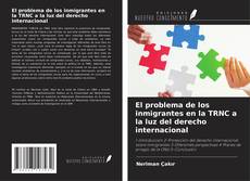 El problema de los inmigrantes en la TRNC a la luz del derecho internacional kitap kapağı