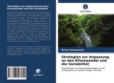 Buchcover von Strategien zur Anpassung an den Klimawandel und die Variabilität