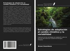 Bookcover of Estrategias de adaptación al cambio climático y la variabilidad