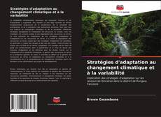 Borítókép a  Stratégies d'adaptation au changement climatique et à la variabilité - hoz