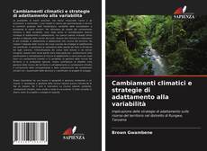 Cambiamenti climatici e strategie di adattamento alla variabilità的封面