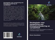 Bookcover of Strategieën voor aanpassing aan klimaatverandering en variabiliteit