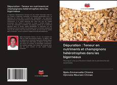 Borítókép a  Dépuration : Teneur en nutriments et champignons hétérotrophes dans les bigorneaux - hoz