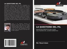 Couverture de LA QUESTIONE DEL PIL