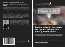 Bookcover of Capital privado dentro de las pymes: evidencia en Italia y Reino Unido