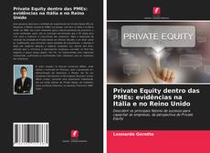 Borítókép a  Private Equity dentro das PMEs: evidências na Itália e no Reino Unido - hoz