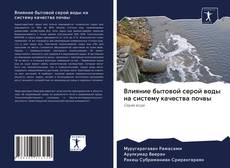 Couverture de Влияние бытовой серой воды на систему качества почвы