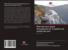 Capa do livro de Effet des eaux grises domestiques sur le système de qualité des sols 