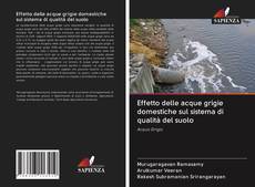 Bookcover of Effetto delle acque grigie domestiche sul sistema di qualità del suolo