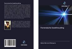 Copertina di Forensische boekhouding