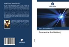Capa do livro de Forensische Buchhaltung 