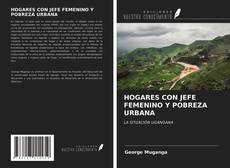 Bookcover of HOGARES CON JEFE FEMENINO Y POBREZA URBANA