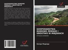 Bookcover of GOSPODARSTWA DOMOWE ŻEŃSKIE I UBÓSTWO W MIEJSKACH