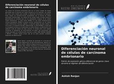 Bookcover of Diferenciación neuronal de células de carcinoma embrionario