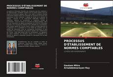 PROCESSUS D'ÉTABLISSEMENT DE NORMES COMPTABLES kitap kapağı