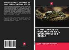 Copertina di ECOSSISTEMAS DE WETLANDS DE KISII, QUÊNIAFUNÇÕES E GESTÃO