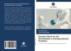 Capa do livro de Sozialer Dienst an der Schnittstelle zu therapeutischen Praktiken 