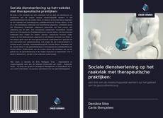 Sociale dienstverlening op het raakvlak met therapeutische praktijken:的封面