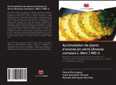 Bookcover of Acclimatation de plants d'ananas en verre (Ananas comosus L. Merr.) MD-2