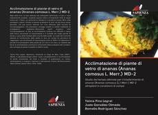 Bookcover of Acclimatazione di piante di vetro di ananas (Ananas comosus L. Merr.) MD-2