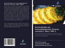 Copertina di Acclimatisatie van ananasglasplanten (Ananas comosus L. Merr.) MD-2