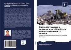 Borítókép a  Соответствующая техника для обработки выщелачивания со свалки - hoz