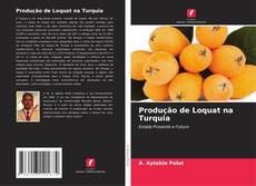 Produção de Loquat na Turquia kitap kapağı