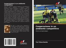 Cooperazione in un ambiente competitivo kitap kapağı