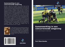 Samenwerking in een concurrerende omgeving的封面