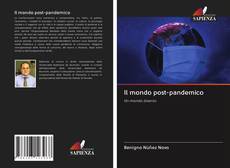 Bookcover of Il mondo post-pandemico