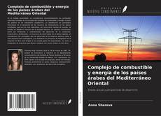 Buchcover von Complejo de combustible y energía de los países árabes del Mediterráneo Oriental