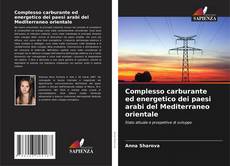 Buchcover von Complesso carburante ed energetico dei paesi arabi del Mediterraneo orientale