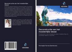 Deconstructie van het moederlijke ideaal的封面