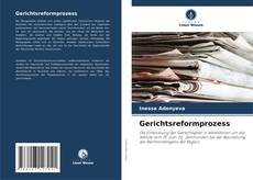 Bookcover of Gerichtsreformprozess