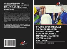 Bookcover of STUDIO SPERIMENTALE SU CALCESTRUZZO GEOPOLIMERICO CON CENERI VOLANTI E METAKAOLINA COME MATERIALI DI PARTENZA