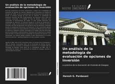 Bookcover of Un análisis de la metodología de evaluación de opciones de inversión