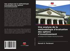 Copertina di Une analyse de la méthodologie d'évaluation des options d'investissement