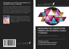 Buchcover von PROBLEMAS DE CONVECCIÓN TÉRMICA EN UN MEDIO FLUIDO Y POROSO