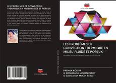 Обложка LES PROBLÈMES DE CONVECTION THERMIQUE EN MILIEU FLUIDE ET POREUX