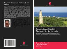 Buchcover von Economia Ambiental - Pântanos do Sal da Índia