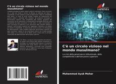C'è un circolo vizioso nel mondo musulmano?的封面