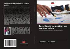 Buchcover von Techniques de gestion du secteur public