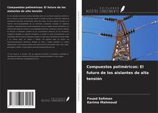 Copertina di Compuestos poliméricos: El futuro de los aislantes de alta tensión