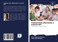 Совместное обучение в классе EFL kitap kapağı