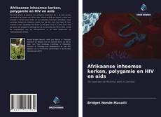 Buchcover von Afrikaanse inheemse kerken, polygamie en HIV en aids