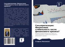 Обложка Секьюритизация: Финансовая стабильность после финансового кризиса?